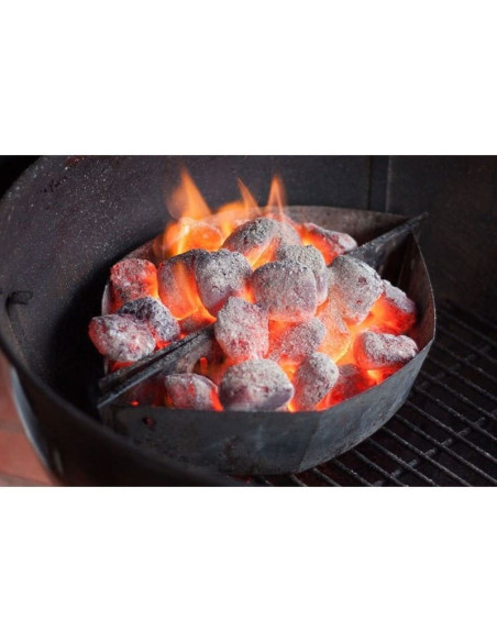 Bolsa de briquetas de carbón de 4kg. Weber FC 17590  - 2 